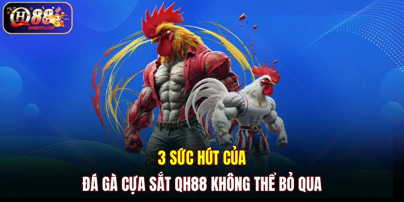 3 sức hút của đá gà cựa sắt QH88 không thể bỏ qua
