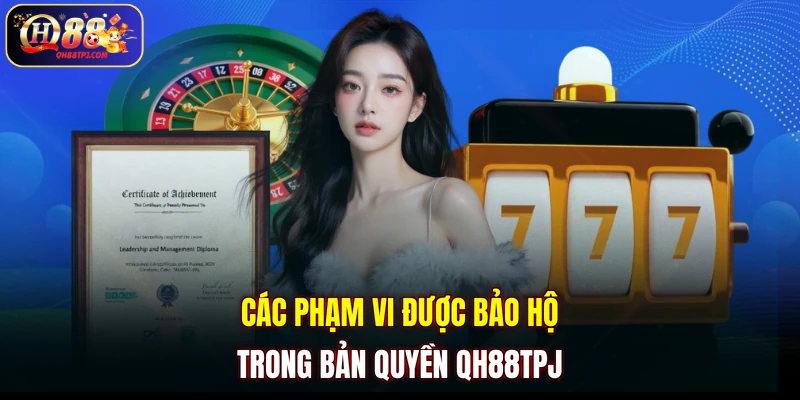 Các phạm vi được bảo hộ trong bản quyền QH88TPJ 