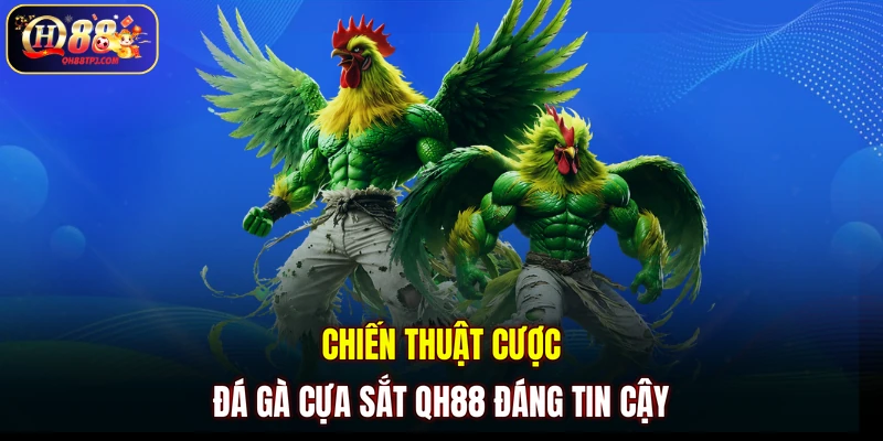 Chiến thuật cược đá gà cựa sắt QH88 đáng tin cậy