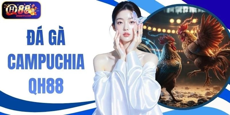 Đá Gà Campuchia QH88