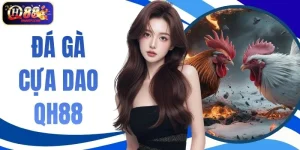 Đá Gà Cựa Dao QH88