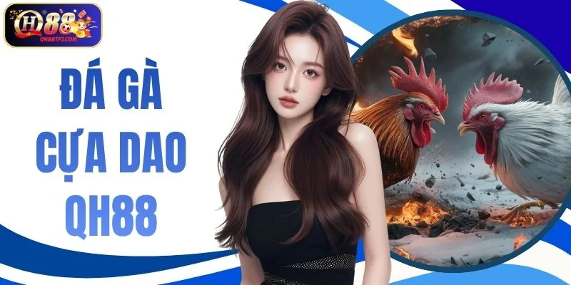 Đá Gà Cựa Dao QH88