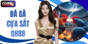 Đá Gà Cựa Sắt QH88