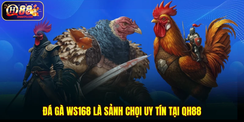 Đá gà WS168 là sảnh chọi uy tín tại QH88