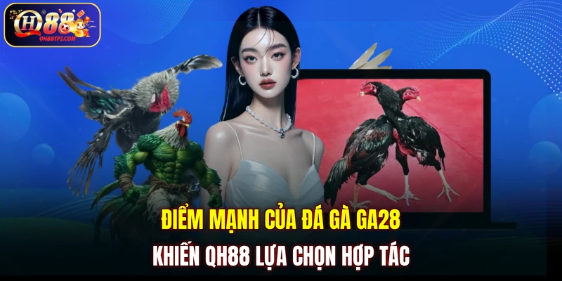 Điểm mạnh của đá gà GA28 khiến QH88 lựa chọn hợp tác