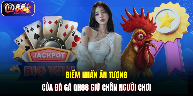 Điểm nhấn ấn tượng của đá gà QH88 giữ chân người chơi
