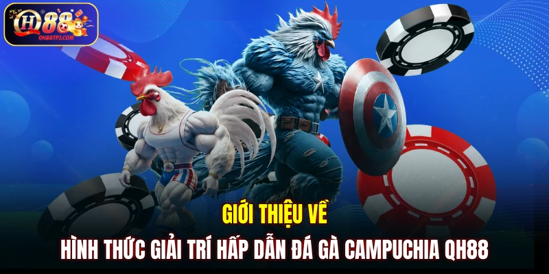 Giới thiệu về hình thức giải trí hấp dẫn đá gà Campuchia QH88