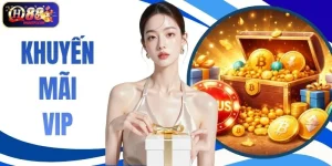 Khuyến Mãi VIP