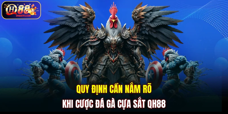 Quy định cần nắm rõ khi cược đá gà cựa sắt QH88