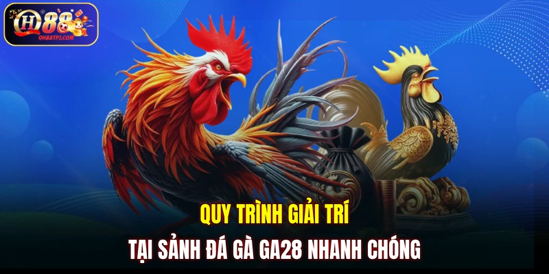 Quy trình giải trí tại sảnh đá gà GA28 nhanh chóng