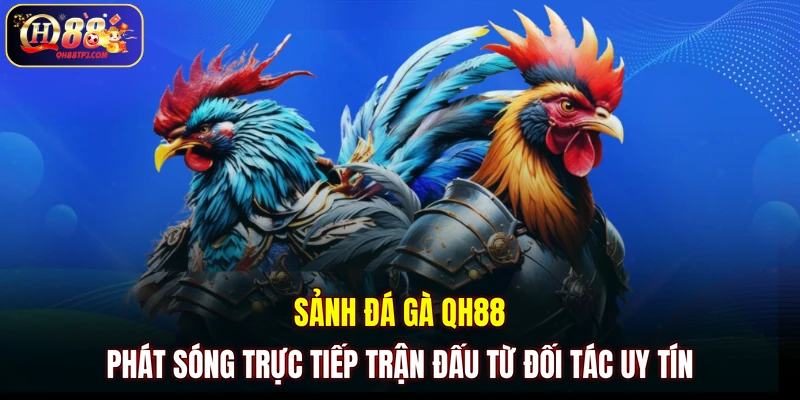 Sảnh đá gà QH88 phát sóng trực tiếp trận đấu từ đối tác uy tín