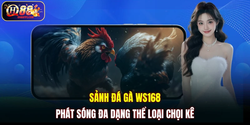 Sảnh đá gà WS168 phát sóng đa dạng thể loại chọi kê
