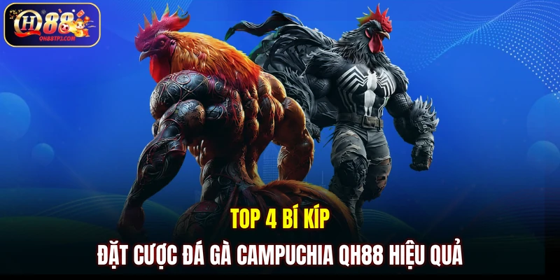 Top 4 bí kíp đặt cược đá gà Campuchia QH88 hiệu quả